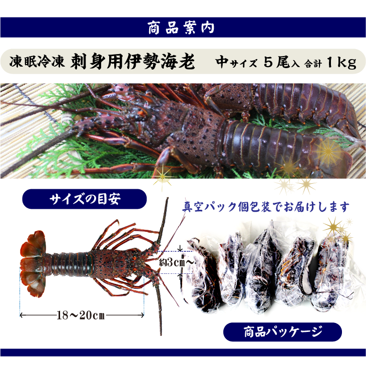凍眠冷凍 伊勢海老（刺身用）中サイズ 5尾入 1.0kg 商品案内