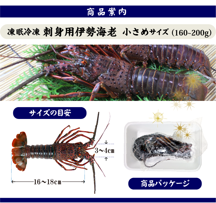 凍眠冷凍 刺身用伊勢海老 小さめ 1尾 160～200g [刺身用伊勢海老