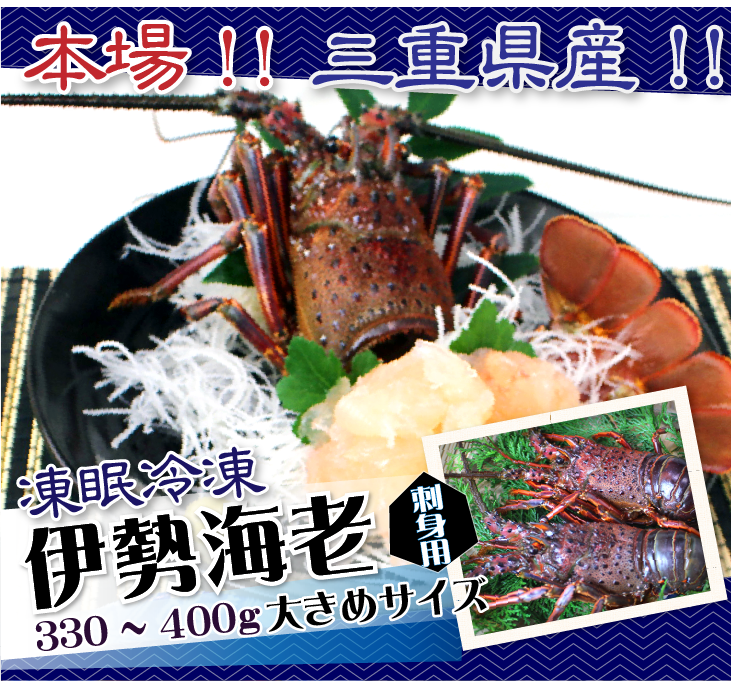 刺身用 凍眠冷凍 伊勢海老 おまとめセット