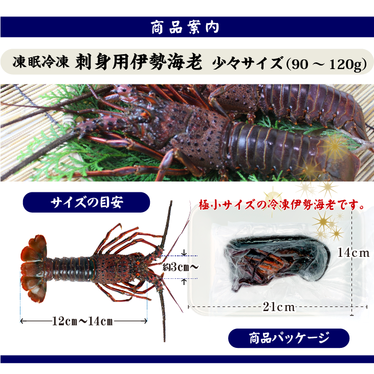 凍眠冷凍 刺身用伊勢海老 少々サイズ 1尾 90～120g