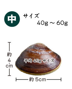 中サイズ 40~50g/個