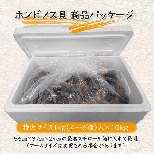 ホンビノス貝 商品パッケージ