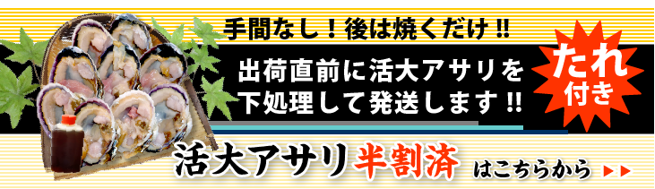 特大 大アサリ 出荷直前に半割して発送します