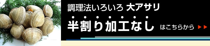 特大 大アサリ 活きたまま発送