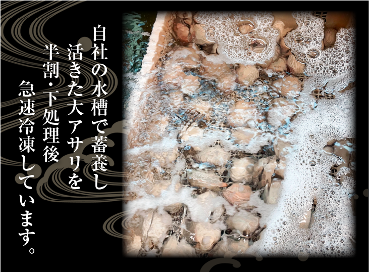 当店の大型水槽で畜養した大アサリを下処理してから冷凍しています。