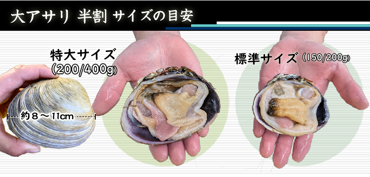 特大サイズの大アサリは、標準サイズの1.5～2倍近く大きなサイズになります。