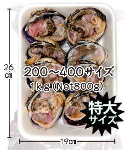 大アサリ 半割 特大サイズ パッケージ