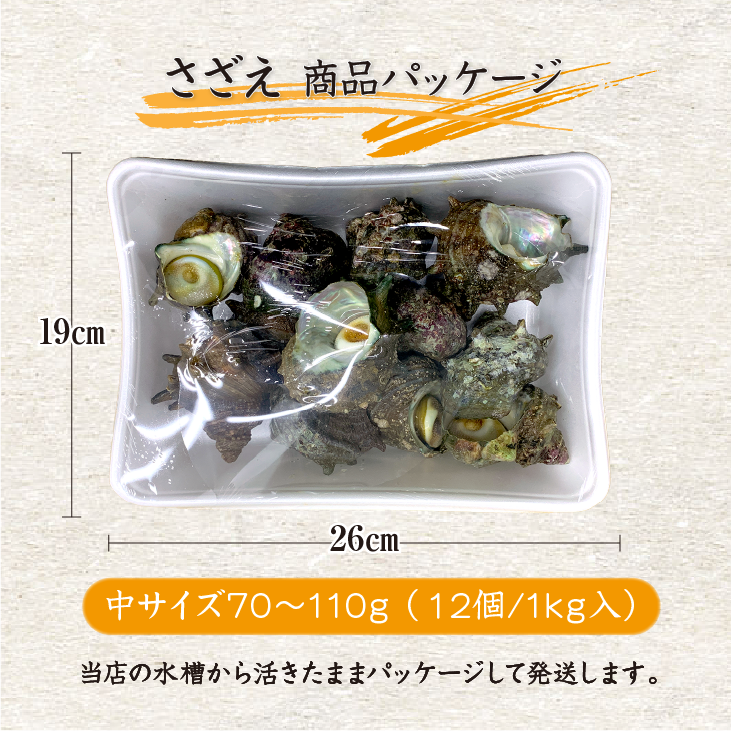 活さざえ(中サイズ12個入り)商品パッケージ