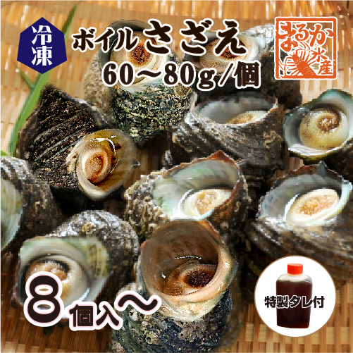 ボイルサザエ 中サイズ8個入パック