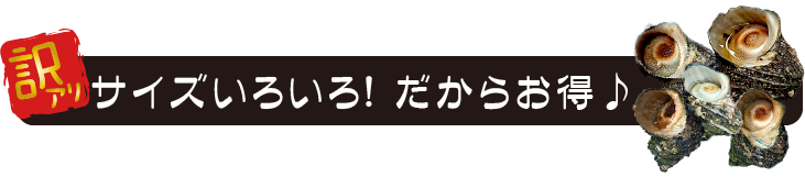 訳あり サイズいろいろ! だからお得♪
