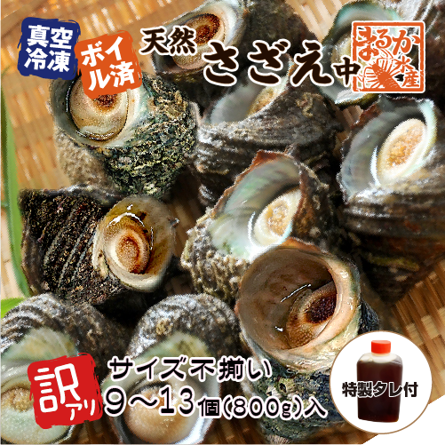 ボイルサザエ 中（サイズ不揃い9～13個入）