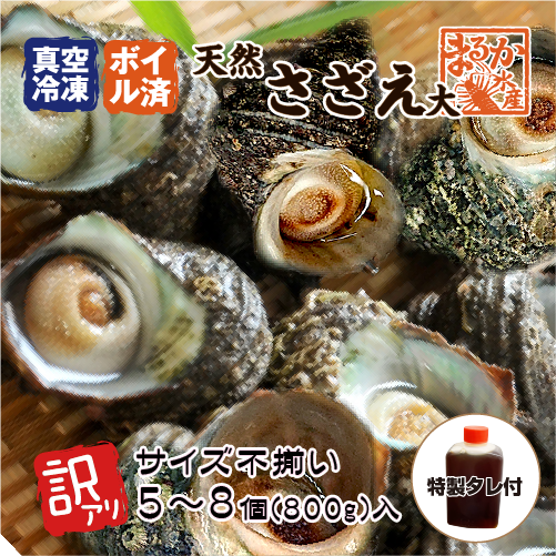 ボイルサザエ 大（サイズ不揃い5～8個入）