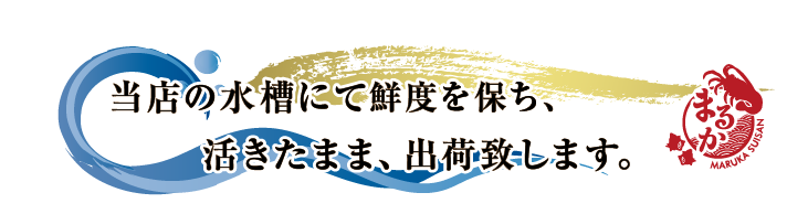 当店の水槽にて鮮度を保ち、活きたまま、出荷致します。。