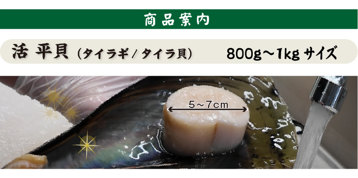 タイラギ800g～1kgサイズ 商品案内