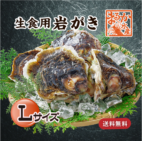 岩がき(生食用)Lサイズ(250~300g)