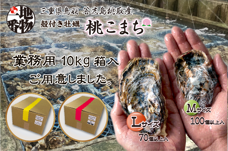 殻付牡蠣 桃こまち 業務用ケース販売致します