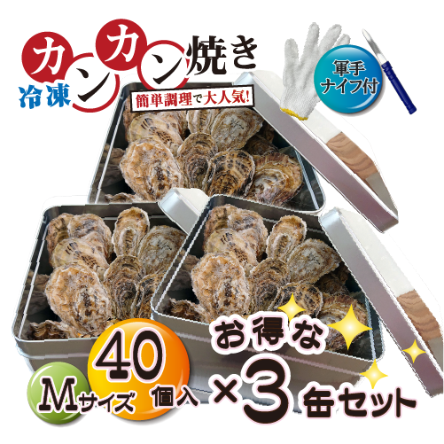お得な3缶セット