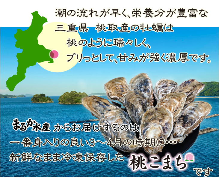 潮の流れが早く、栄養分が豊富な三重県 桃取産の牡蠣は、桃のように瑞々しく、プリっとして、甘みが強く濃厚です。