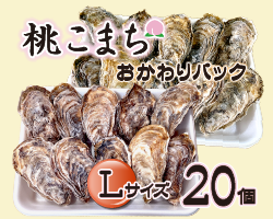 冷凍お代わりにLサイズ20個