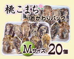 冷凍お代わりにMサイズ20個