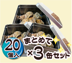 20個入×3缶セット