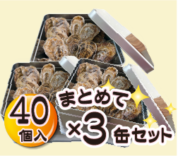 40個入×3缶セット