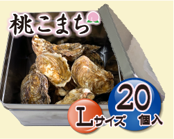 Lサイズ20個入