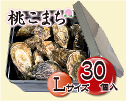 Lサイズ30個入