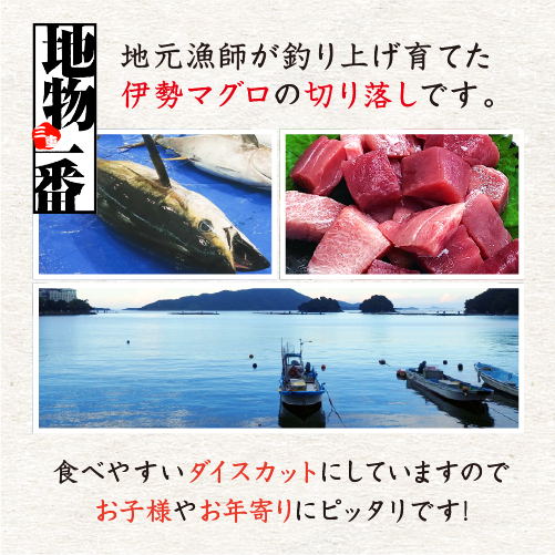 地物一番！伊勢マグロとして出荷されるまで