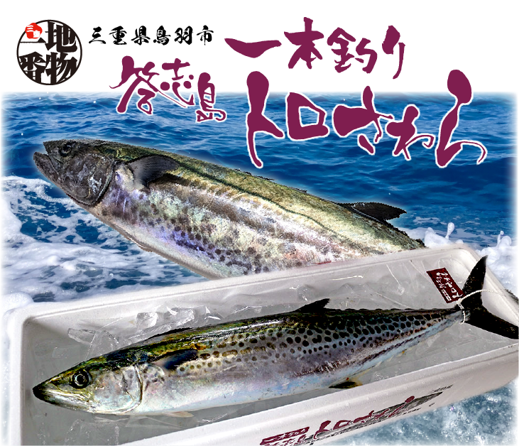 三重県答志島 トロさわら 冷凍切り身 50～60g×5切[魚介類] | すべての