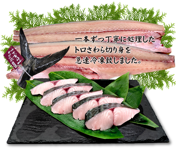トロさわら 三枚おろし 尾にブランドタグ