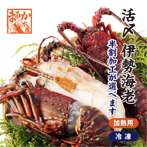 活〆冷凍伊勢海老(加熱用)