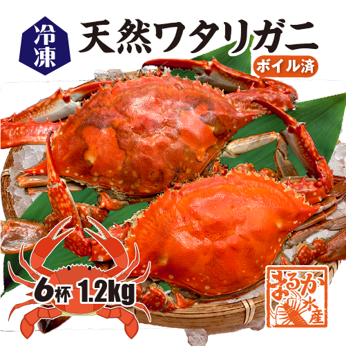 天然ワタリガニ ６杯入 合計1.2kg入