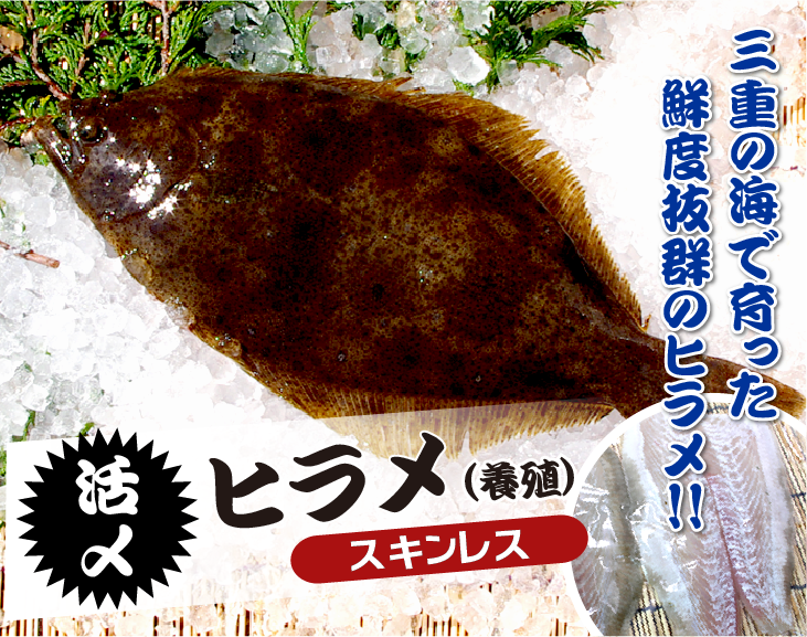 活〆ひらめ スキンレス