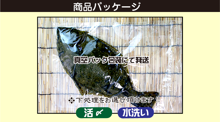 活〆ひらめ 商品パッケージ