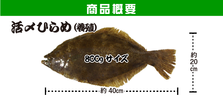 活〆ひらめ 商品パッケージ