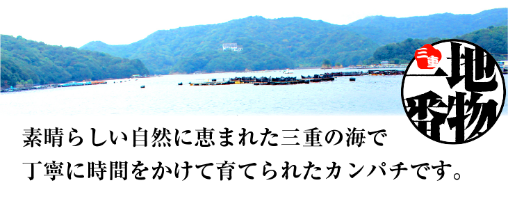 素晴らしい自然に恵まれた三重の海で、丁寧に時間をかけて育てられたカンパチです。。