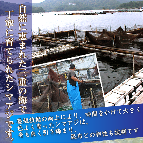 特殊な冷凍装置「凍眠」で驚きの鮮度