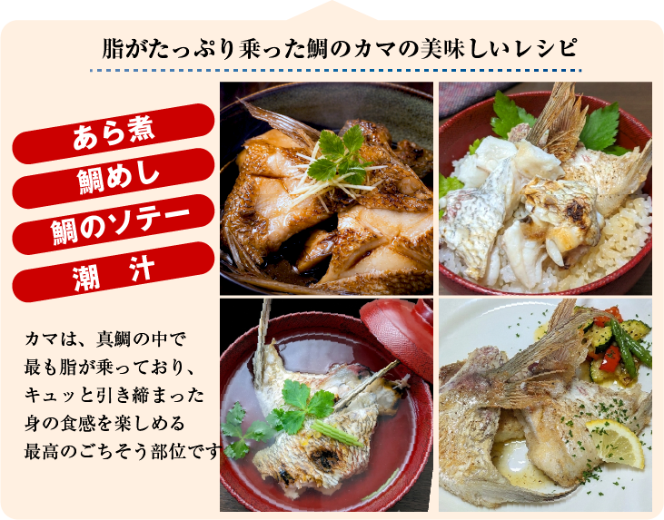 カマは、真鯛の中で最も脂が乗っており、キュッと引き締まった身の食感を楽しめる最高のごちそう部位です。