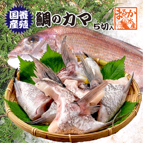 鯛のカマ