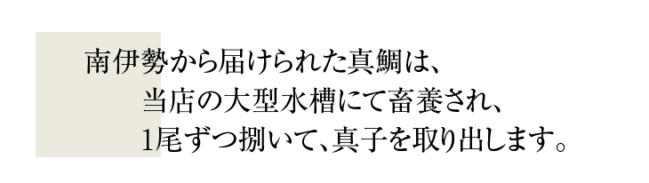 南伊勢から届けられた真鯛は、当店の大型水槽にて畜養され、１尾ずつ捌いて、真子を取り出しています。