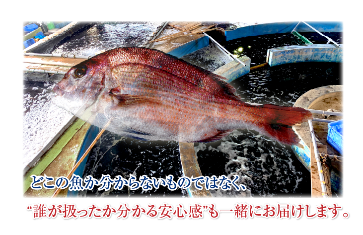 どこの魚か解らないものではなく、“誰が扱ったか分かる安心感”も一緒にお届けします。