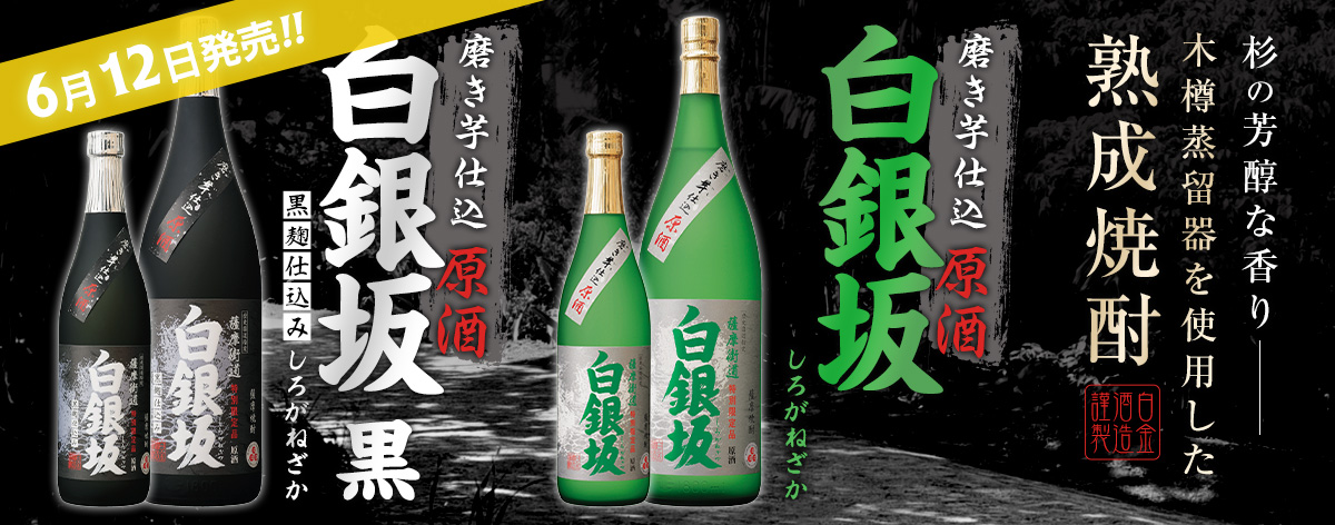白銀坂