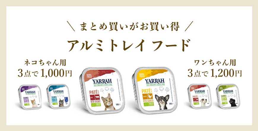 ΦωΦ)(ΦωΦ)猫ねこちゃん♥トレー♥(ΦωΦ)(ΦωΦ)(ΦωΦ)猫♥