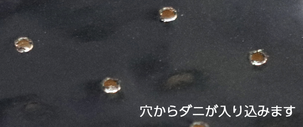 ダニ取りシート