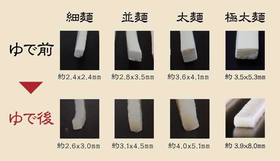 麺の太さ比べ結果