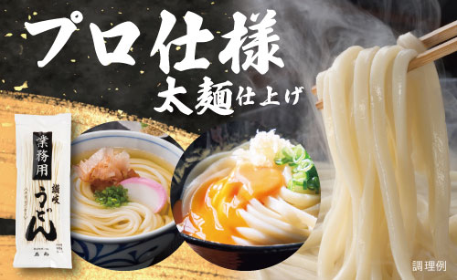 プロ仕様の太麺仕立て!業務用半生讃岐うどん