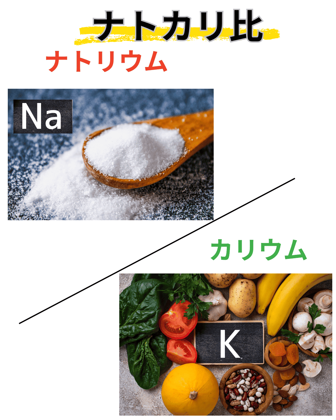 ナトカリ比とは？
