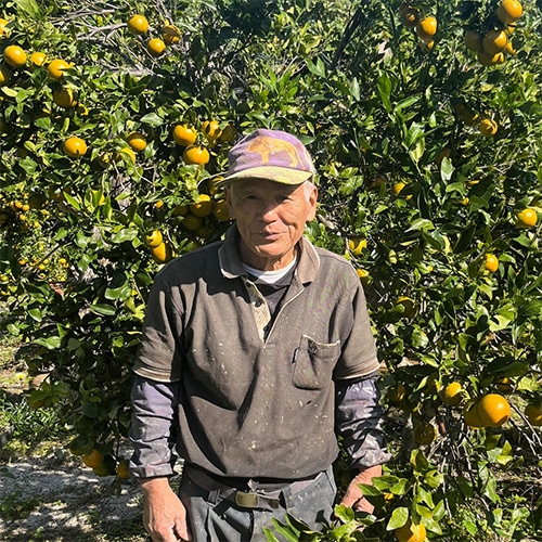 本日のみのセール  インドネシア カリマンタン島産 香木 詰め合わせ タニ沈香 インドネシア周辺の香木一覧と観察 | 茶の穂 香木と本気の茶