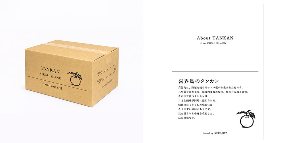 タンカン箱・説明カード（厚紙仕様）